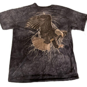 TheMountain Men's Grey and Blue Bald Eagle/Lightning Nature Wildlife T-shirt